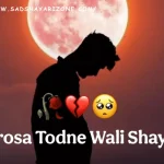 bharosa-todne-wali-shayari भरोसा तोड़ने वाली शायरी भरोसा तोड़ने वाली शायरी